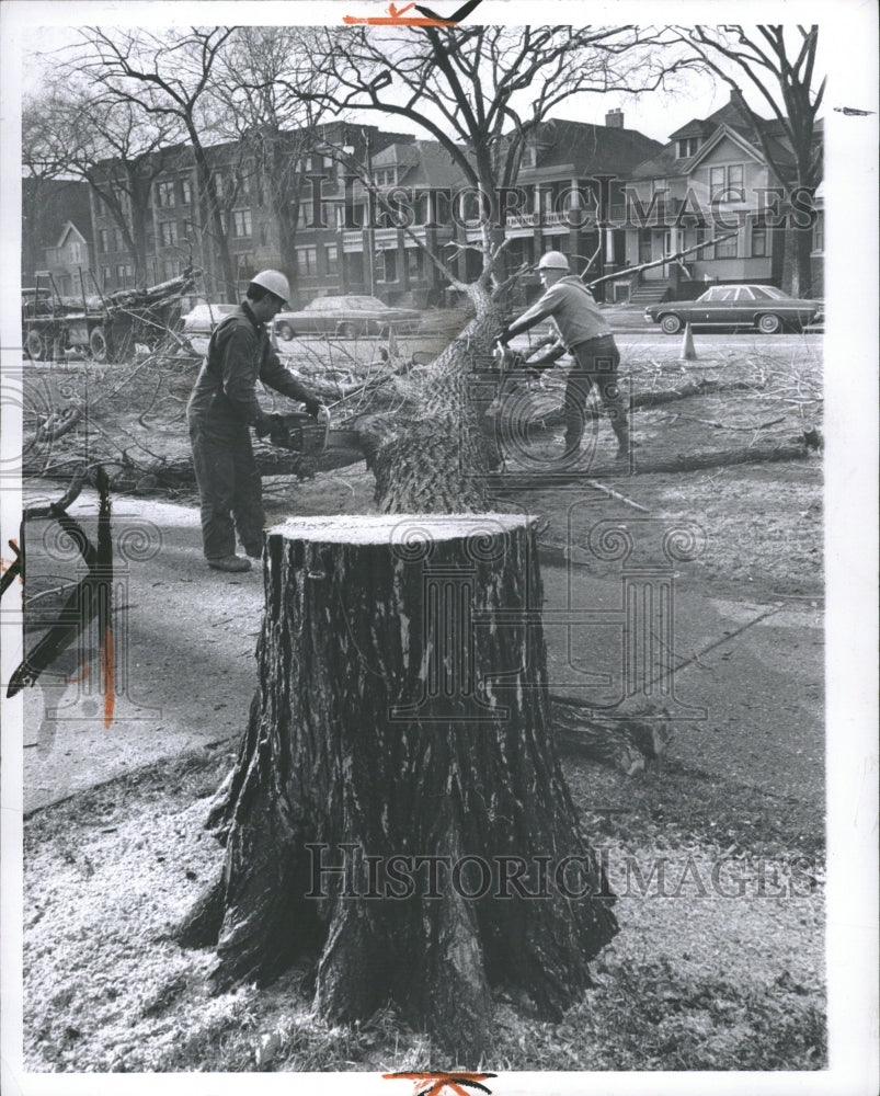 1966 Chris and Noland cutting down elm tree - Historic Images