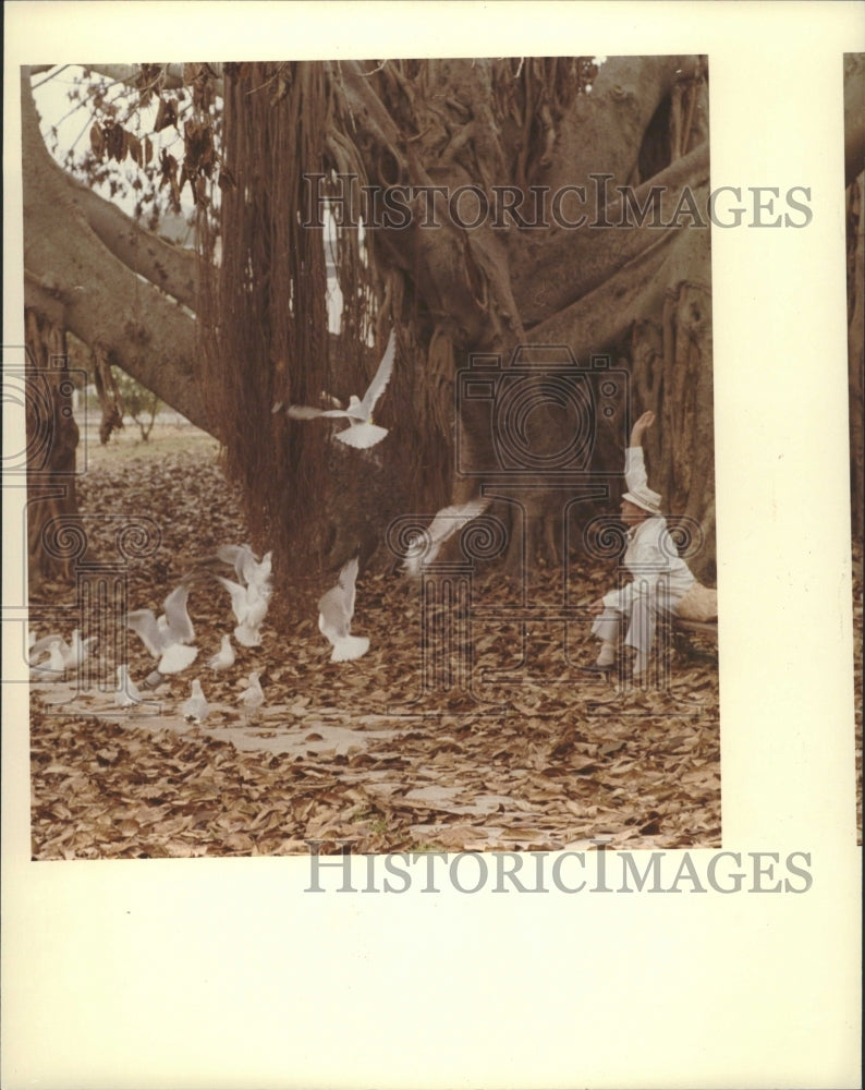 1984 Banyon Tree Florida Man Birds - Historic Images