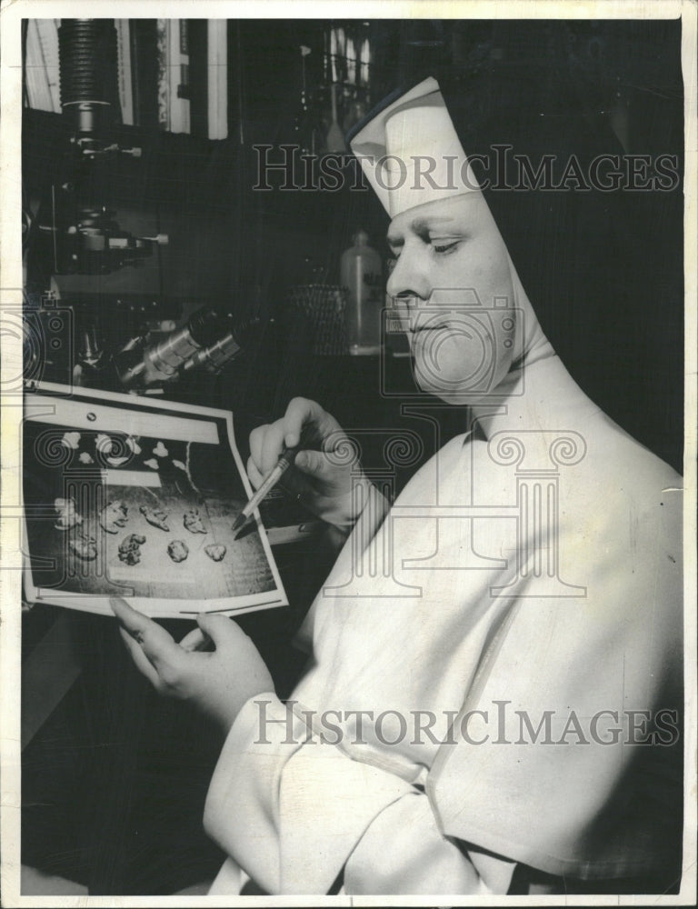 1965 Sister Rosarit Schmeer Mussel Fresh - Historic Images