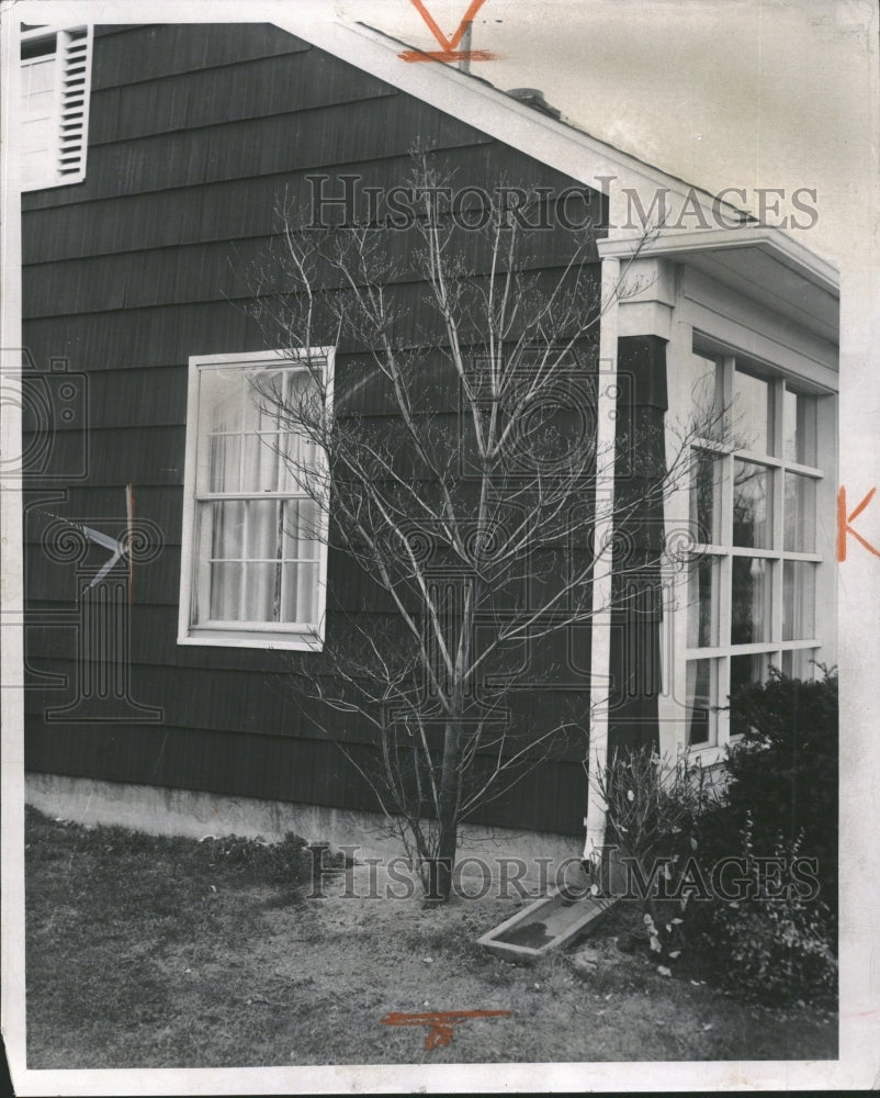 1958 Trees Perennial Woody Plant - Historic Images