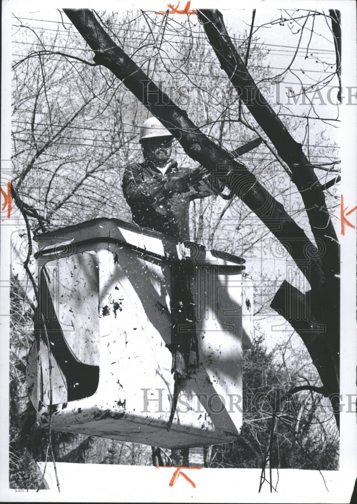 1973 TREE TRIMMERS - Historic Images