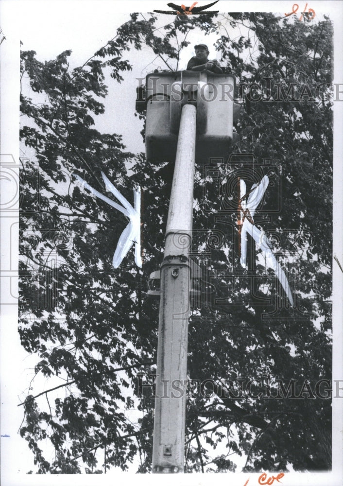 1970 Alpine Tree Company Trimming Trees - Historic Images