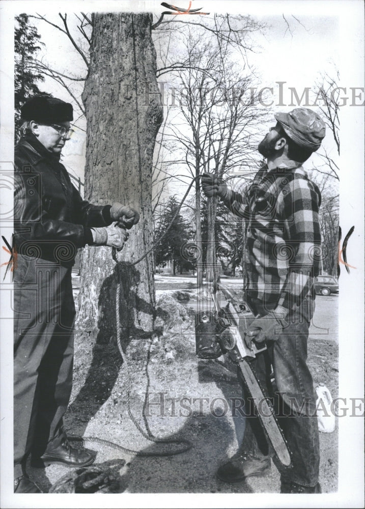 1973 Professional Tree Trimmers Prepare - Historic Images