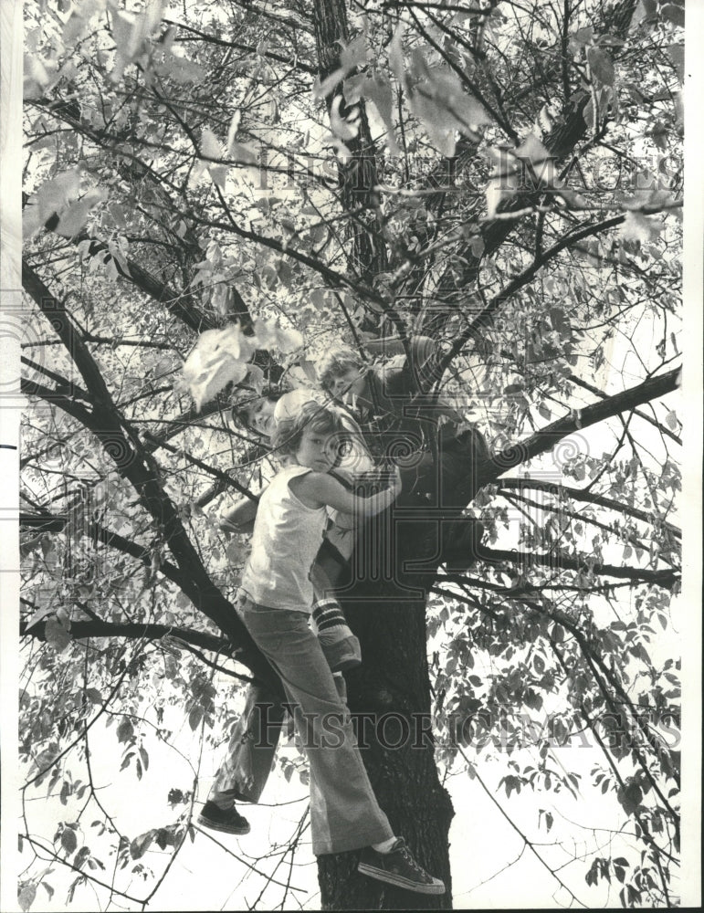 1977 Protest Cutting Down Diseased Elm - Historic Images