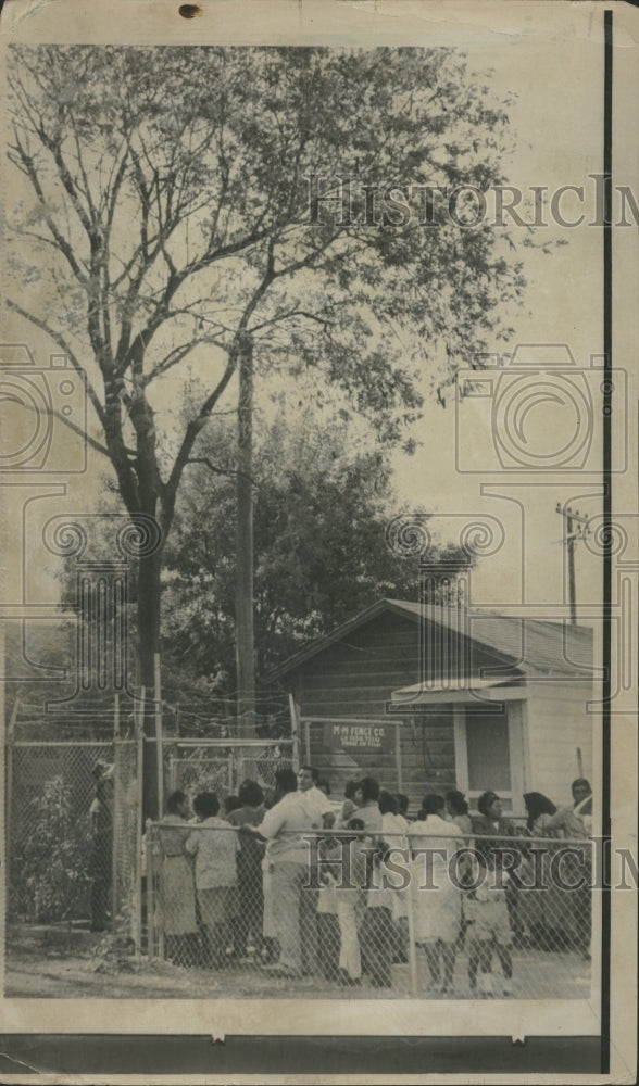 1966 TX Crying Tree Leaks Healing Water - Historic Images