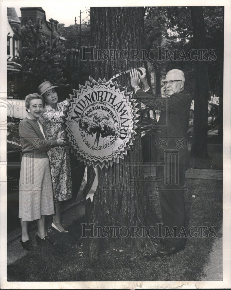 1962 Elm Tree Citation Gerten Barton Grauer - Historic Images