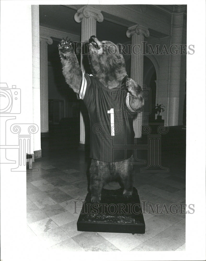 1986 13-foot Alaskan Brown Bear in Museum - Historic Images