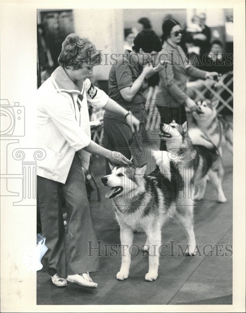 1981 Alaskan Malamutes Competition - Historic Images