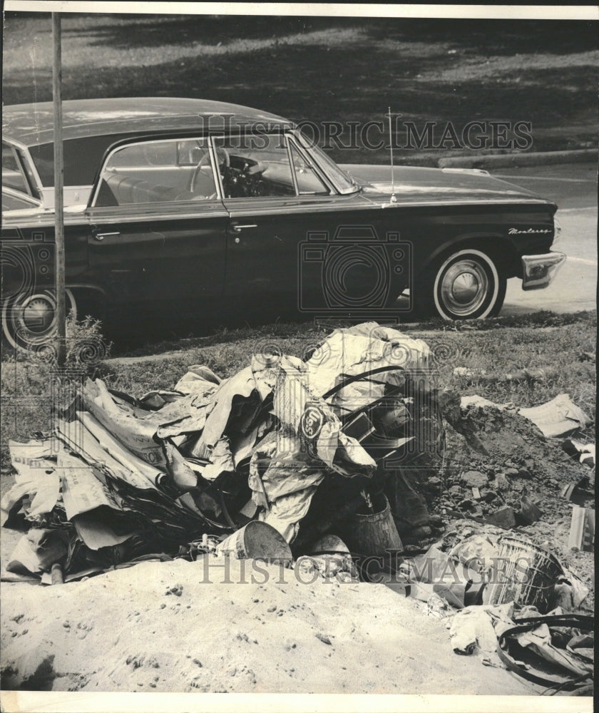 1965 Debris Pile Lincoln Park Farm Zoo - Historic Images