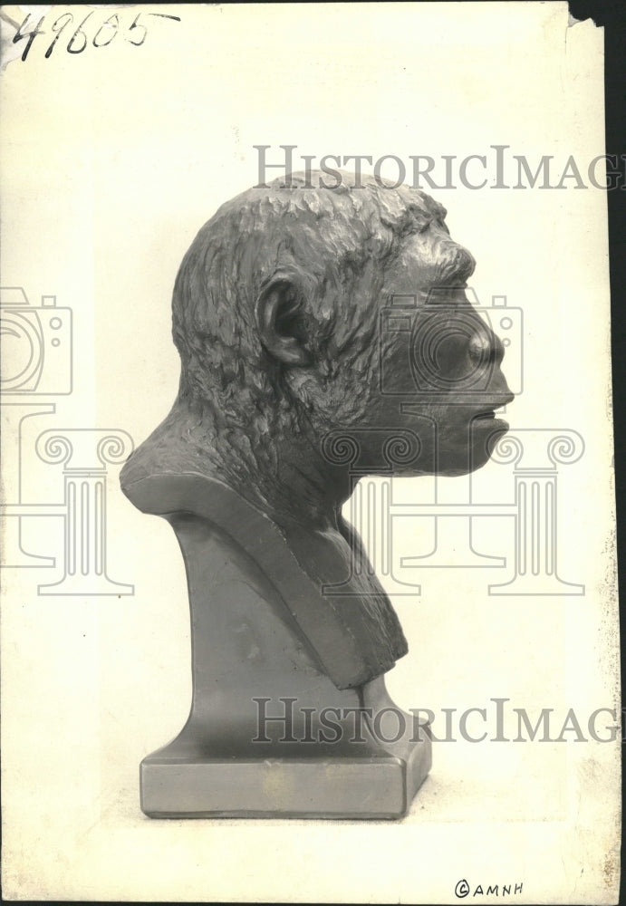 1949 Pithcanthropus Erectus Chicago Museum - Historic Images