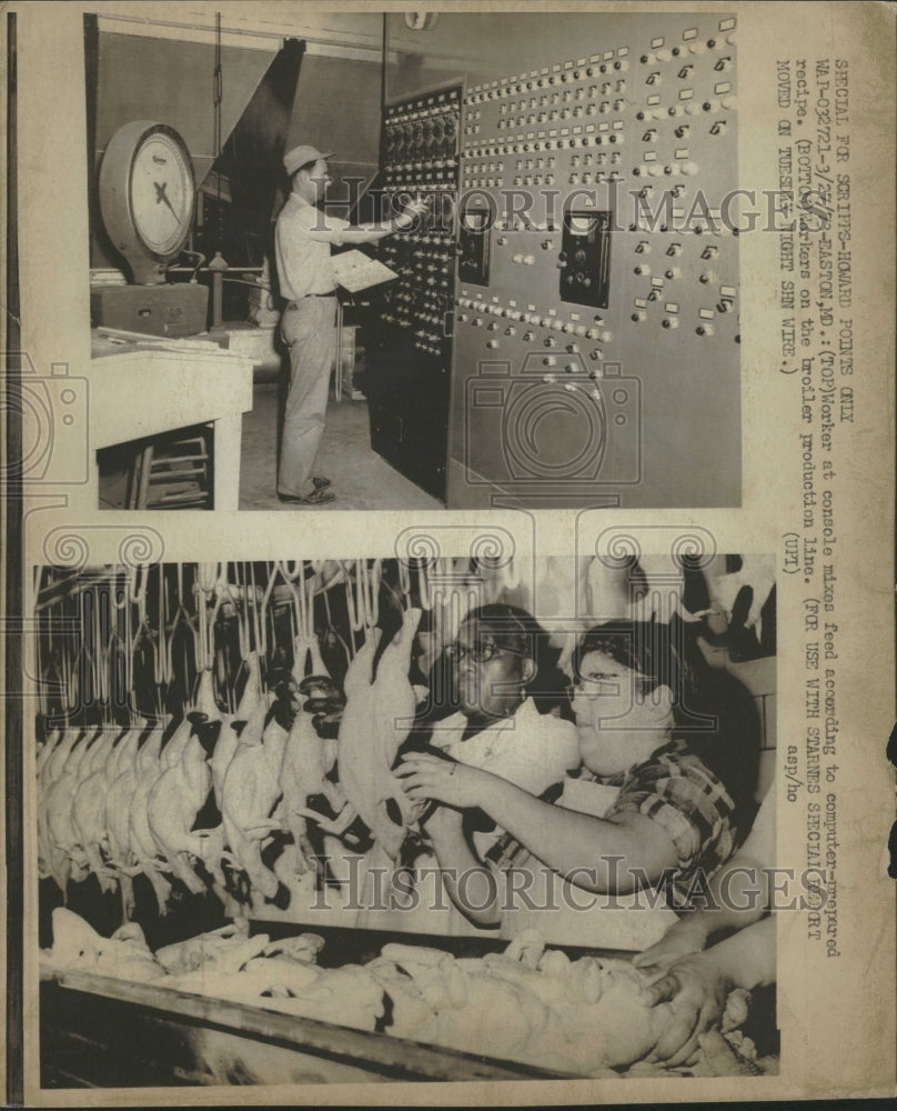 1973 Chicken Broiler Production - Historic Images