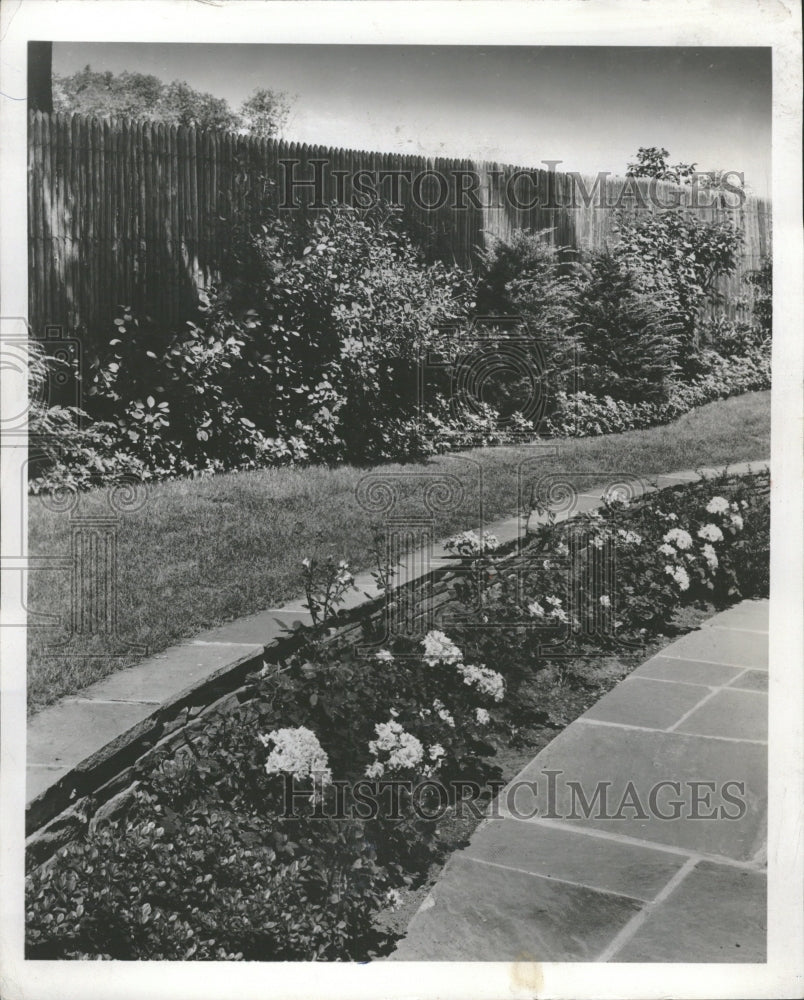 1958 Faxeground Background Hemlock Garden - Historic Images