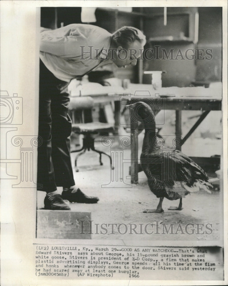 1966 Edward Stivers White Goose Bird Honks - Historic Images