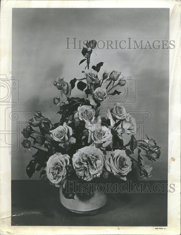 1949 Climber Aloha Pat Applied roses flower - Historic Images