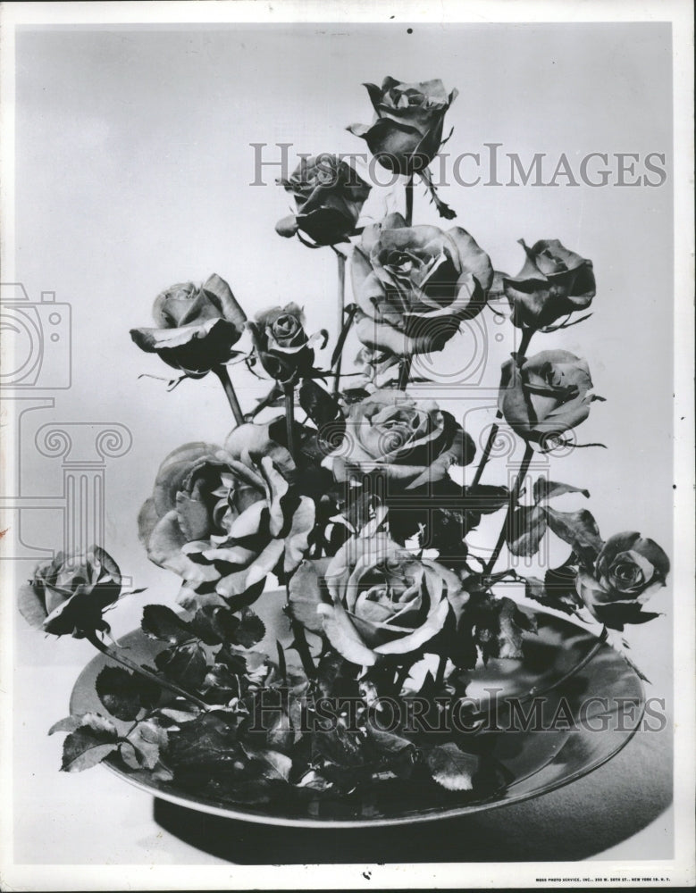 1958 Roses Flowers plant  Home Decoration - Historic Images