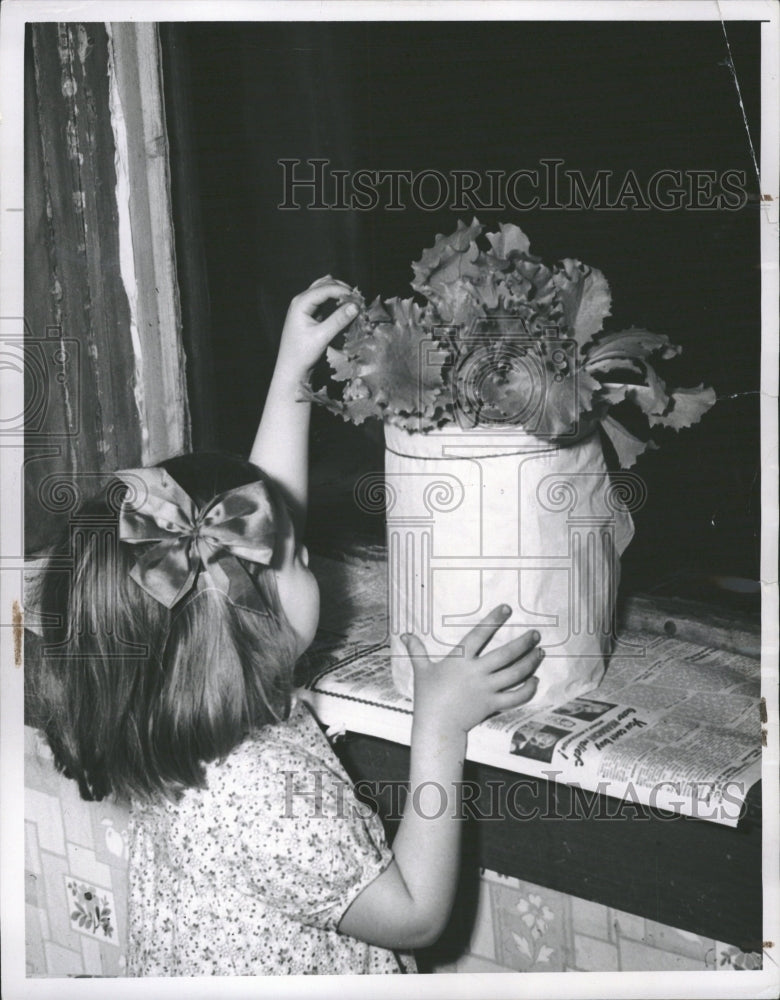 1949 Betty Glass Lettuce Asteraceae Salads - Historic Images