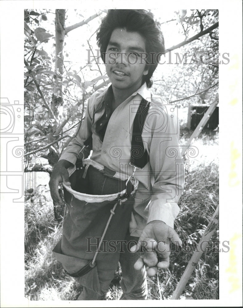 1988 Alberto Flores shrunk apples workers - Historic Images