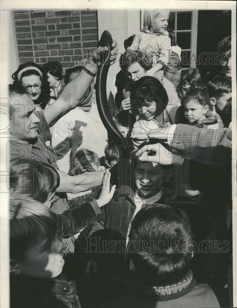 1965 Lincoln Park Zoo Man Holding Snake - Historic Images