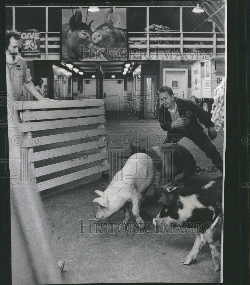 1974 Lincoln Park Zoo Keepers Get Surprise - Historic Images