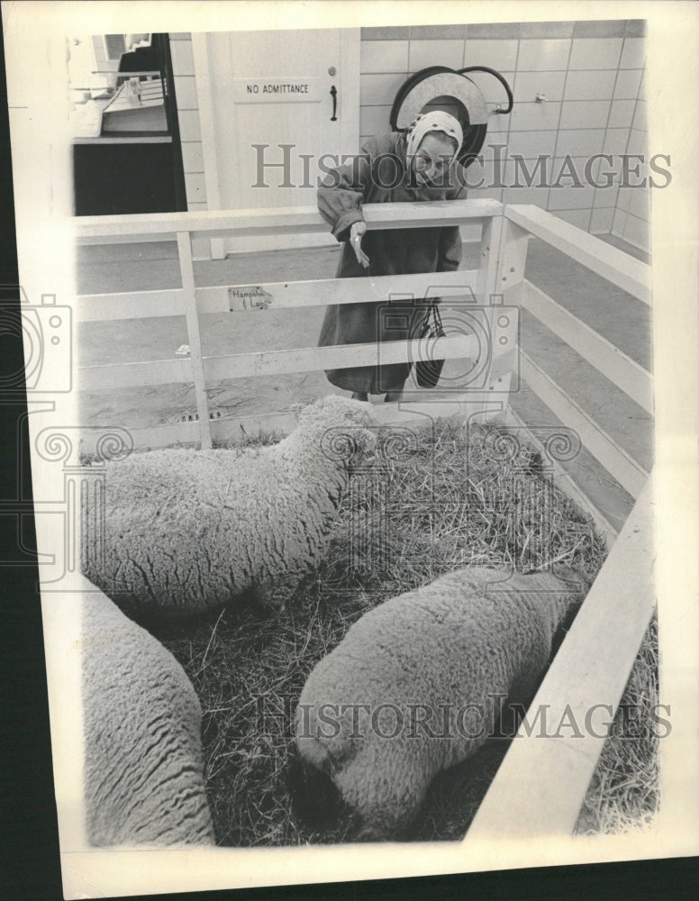 1965 Lincoln Park Farm In The Zoo Chicago - Historic Images