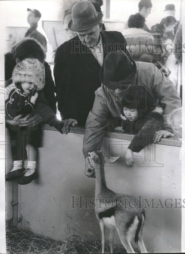 1971 Childrens Zoo Lincoln Park - Historic Images