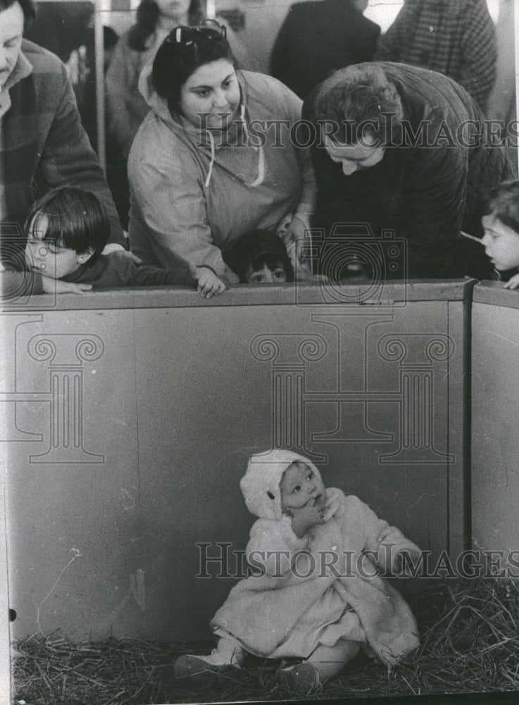 1974 Lincoln Park Zoo Child In Playpen - Historic Images