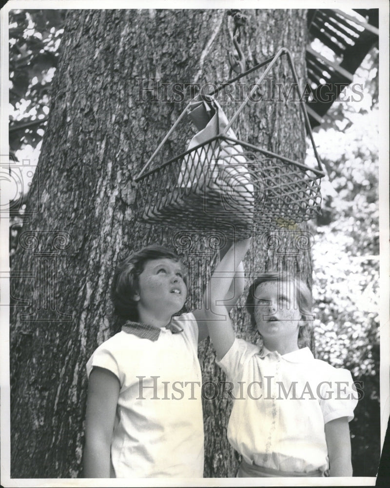 1957 Cargo Lift Tree House - Historic Images