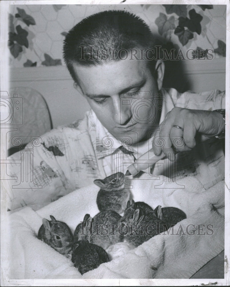 1957 Eugene Shelley wild cottontail Easter - Historic Images