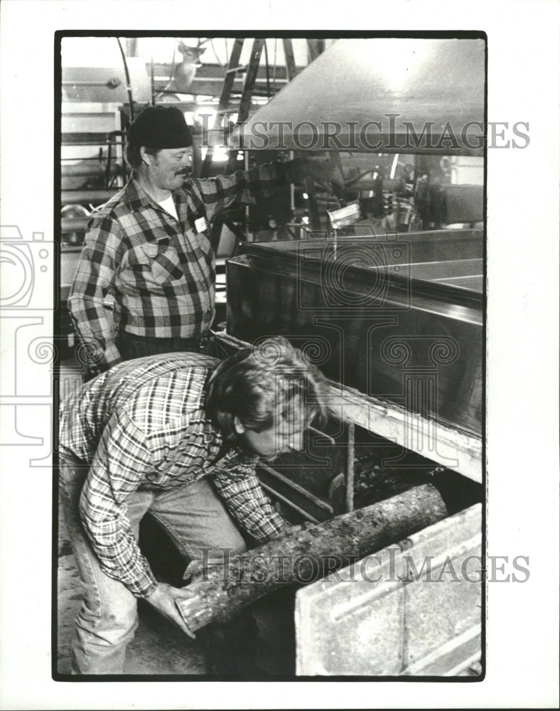 1988 Maple sugar farm syrup Frank Majszak - Historic Images