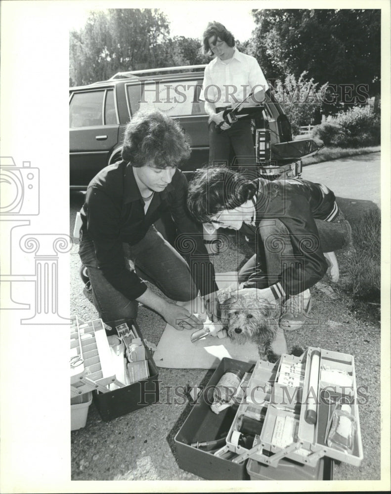 1982 John Beck man Veterinarian First Aid - Historic Images