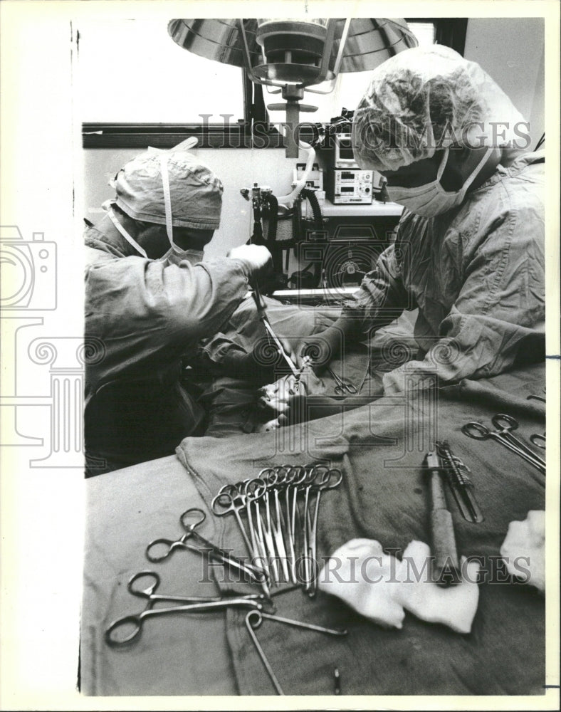 1985 Dr Claude Gendreau Veterinarian Surgon - Historic Images