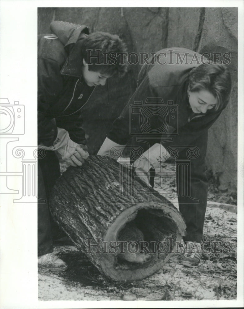 1989 Woody Groundhog Lincoln Park Diane - Historic Images