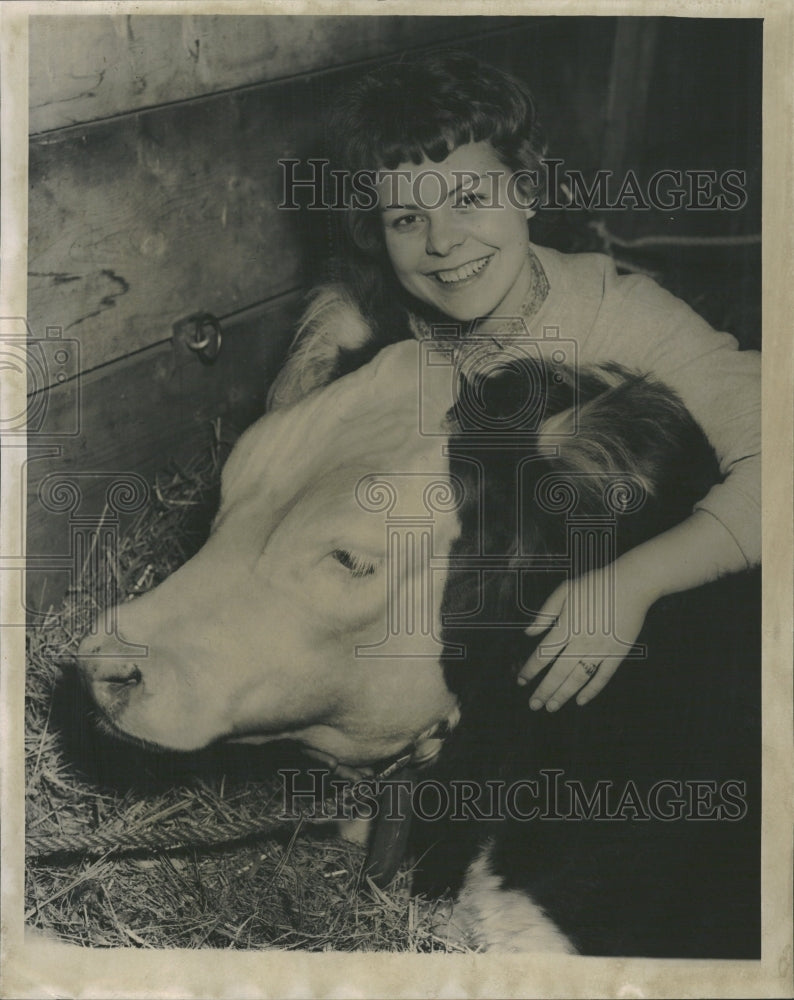 1962 Kaye Pollack With Prize Winning Steers - Historic Images