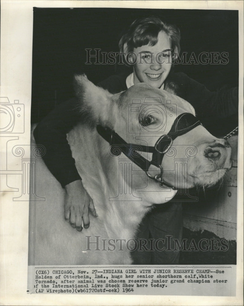 1964 International Live Stock Show - Historic Images