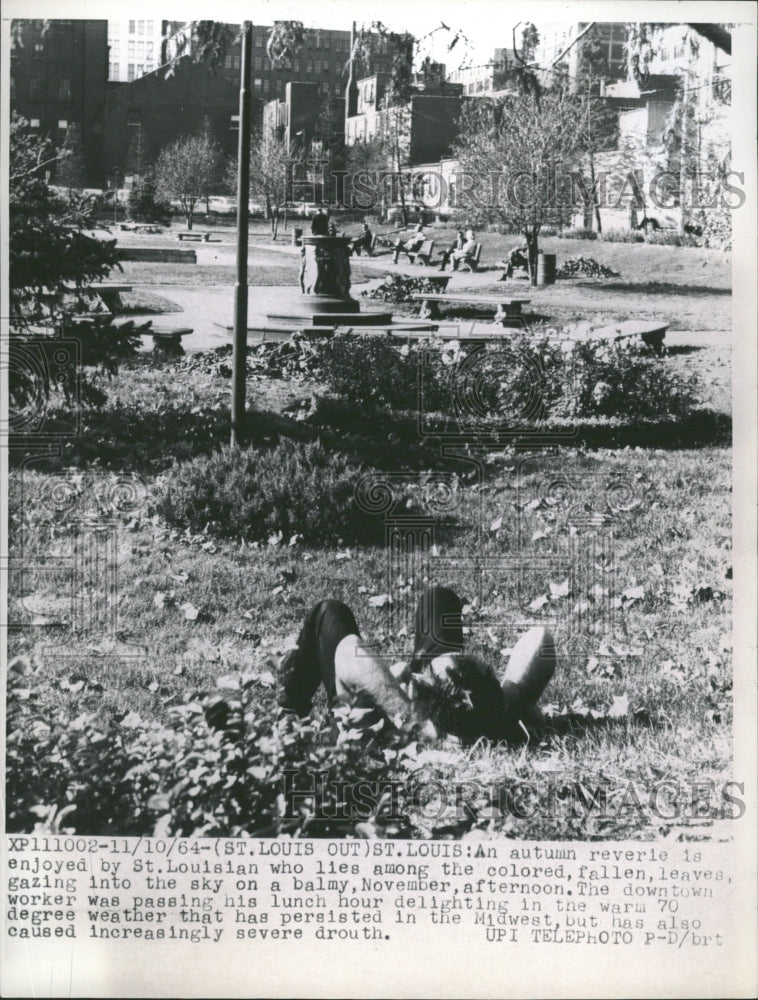 1964 An Autumn Reveler is Enjoyed - Historic Images