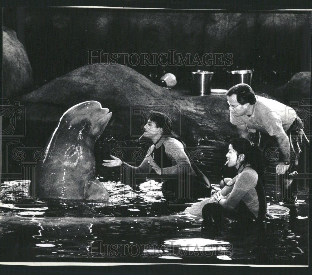 1991 Shedd Aquarium Beluga Plays Game - Historic Images