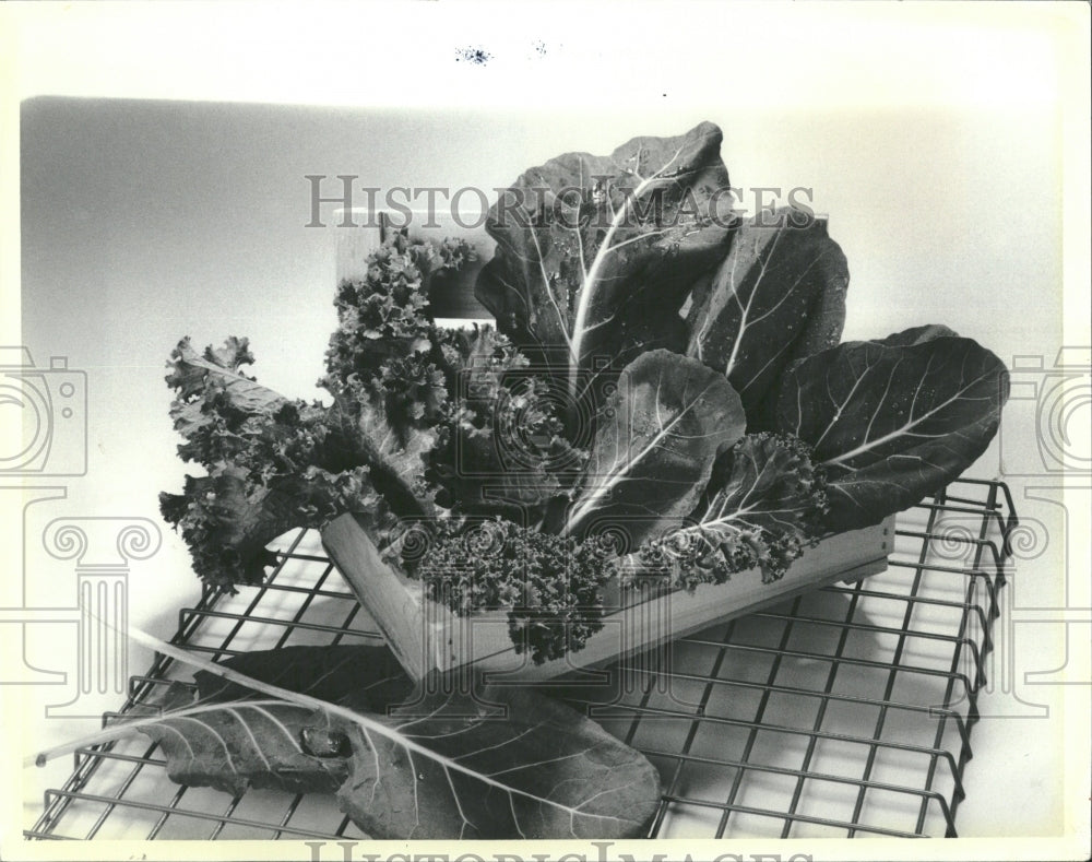 1986 Kale Mustard Greens Collard Box - Historic Images