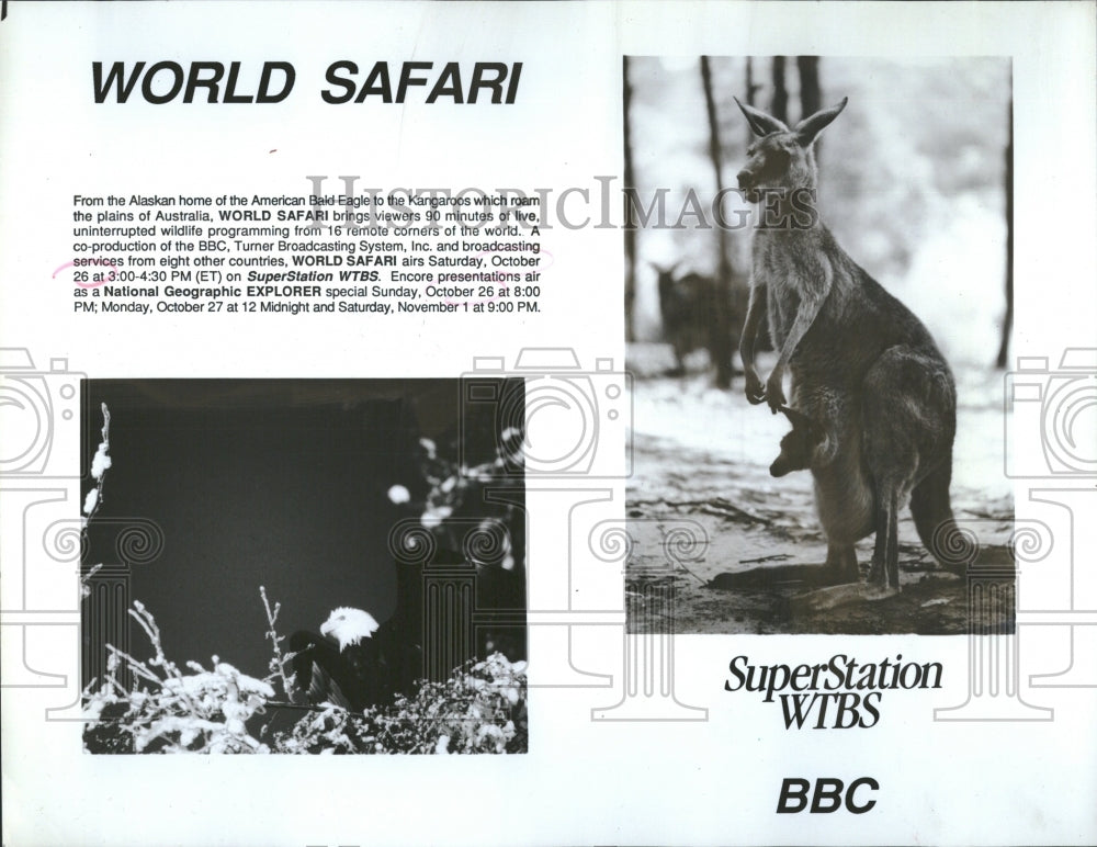 1986 World Safari American Eagle Kangaroos - Historic Images
