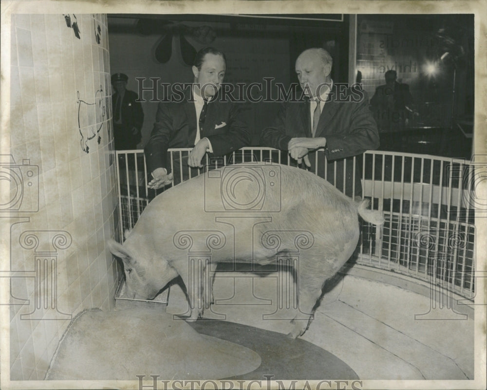 1962 Grand Champion Barrow Grorge Food Meat - Historic Images