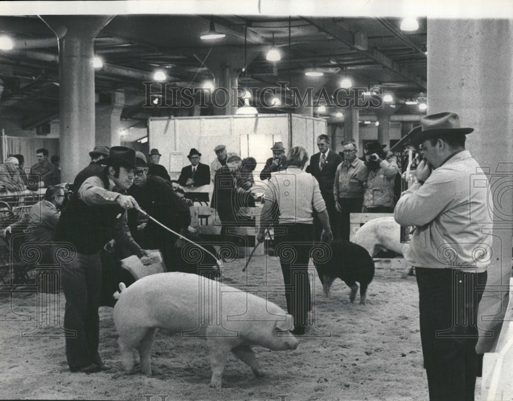 1972 Stock Show Agricultural Public Event - Historic Images