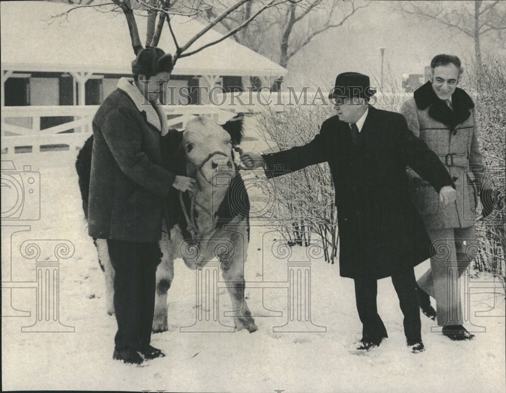 1972 Stock Show - Historic Images