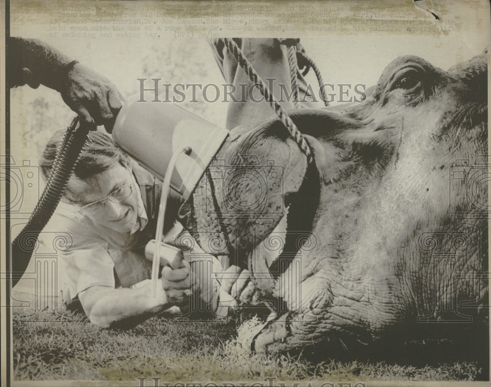 Veterinarian doctor elephant animal Zoo IL - Historic Images