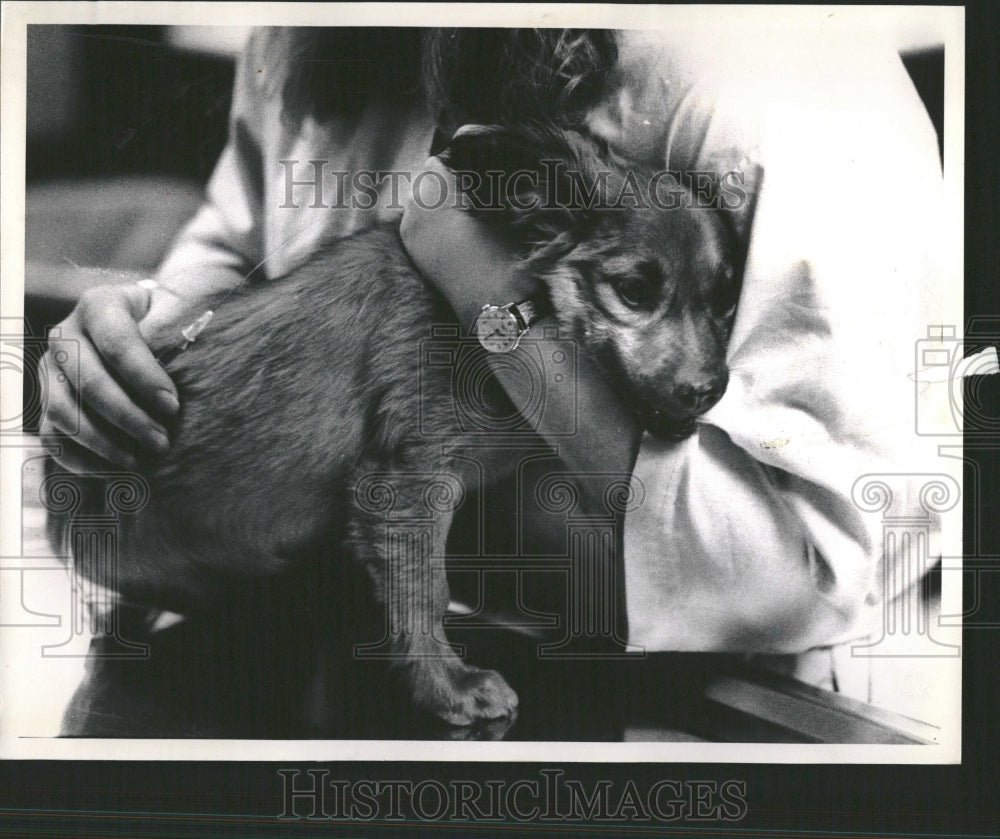 1988 Kim Koch Vet Technician With Dog - Historic Images