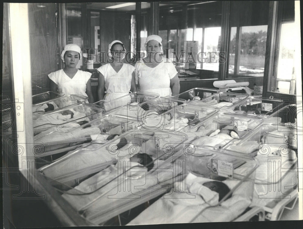 1963  Northwest Community Hospital babies - Historic Images