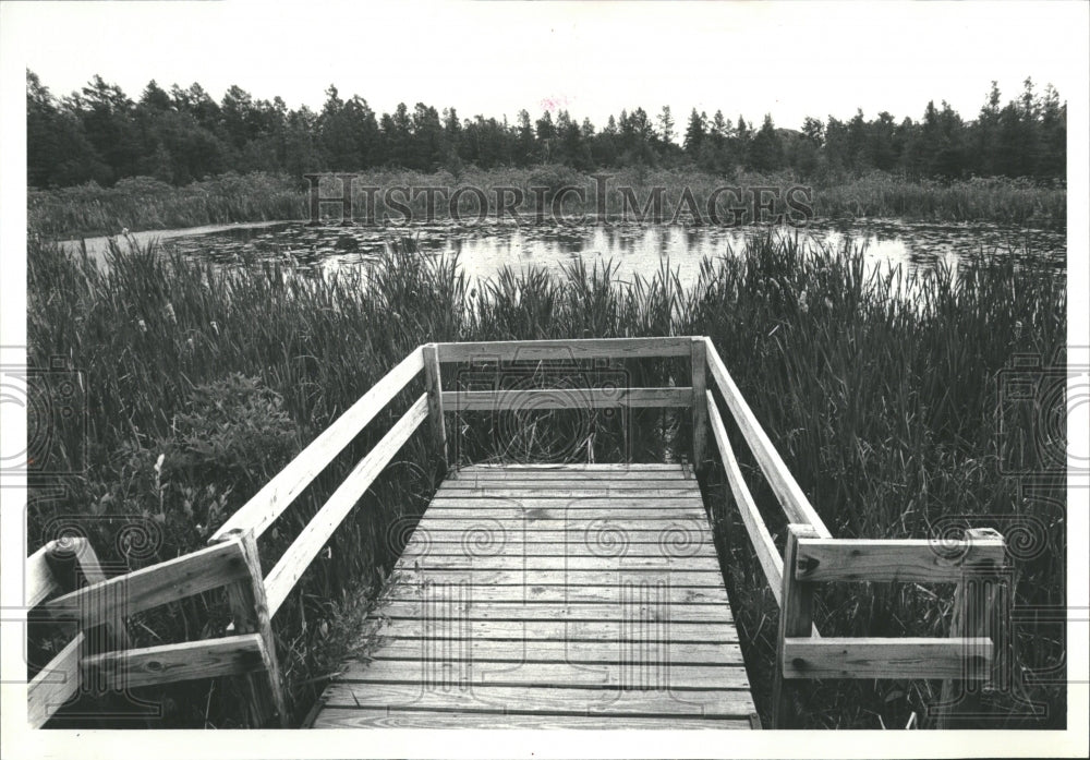 1991 Volo Bog Blooming boardwalk - Historic Images