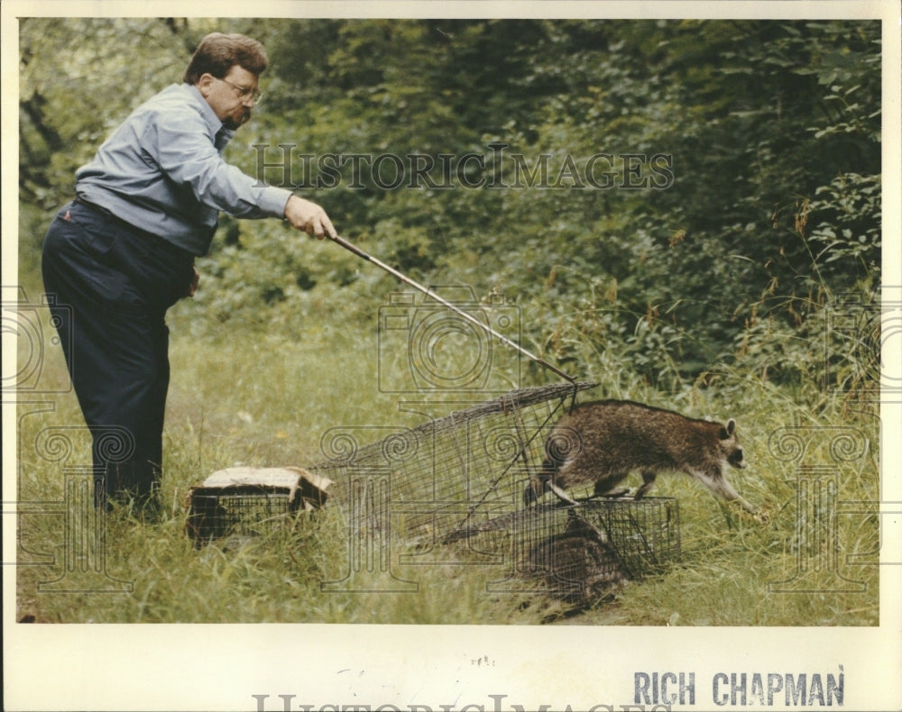 1990 The Raccoon North American Animal - Historic Images