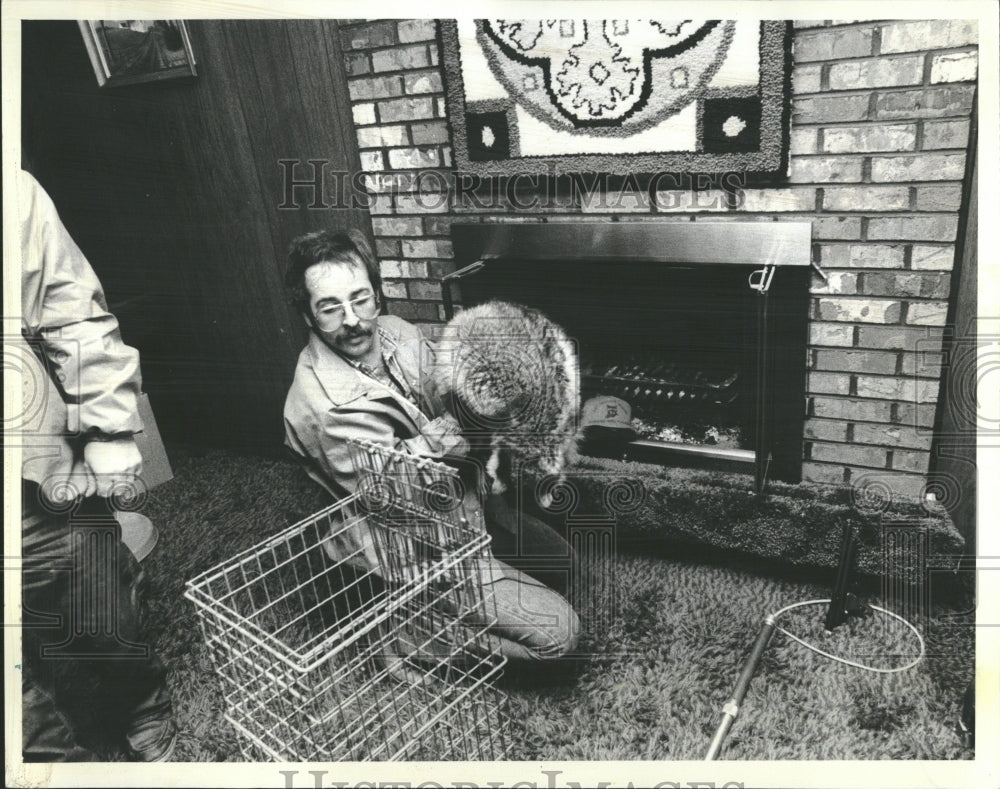1982 Raccoon Animal Rescue Wildlife Nature - Historic Images
