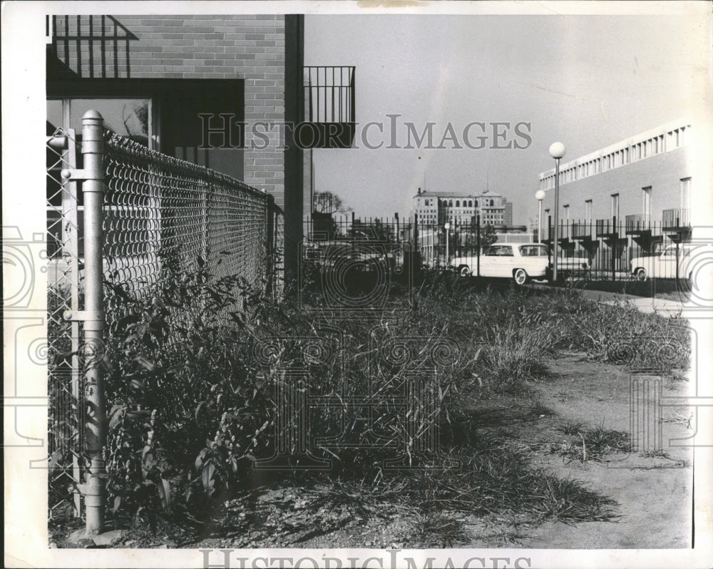 1961 Miniature Jungle Ground Hyde Park Town - Historic Images