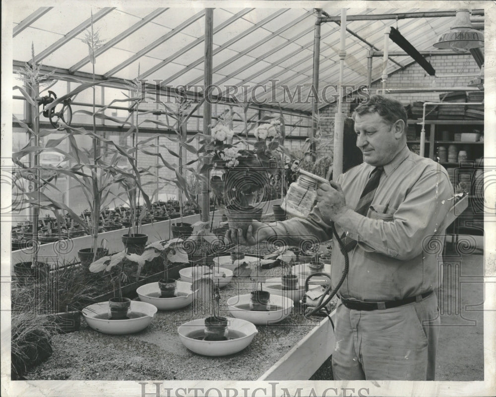 1955 Green House Gardening Insecticides - Historic Images