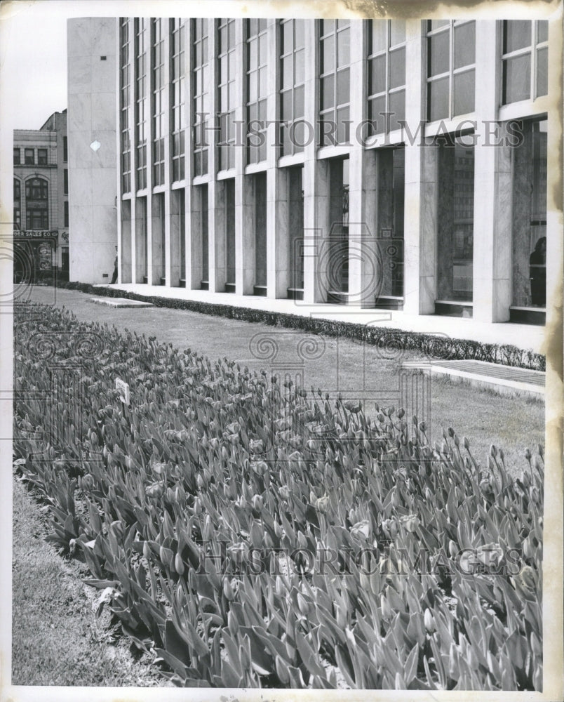 1958 Detroit CIty County Building - Historic Images